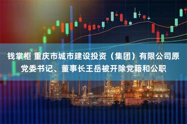 钱掌柜 重庆市城市建设投资（集团）有限公司原党委书记、董事长王岳被开除党籍和公职