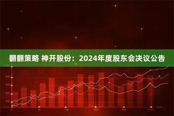 翻翻策略 神开股份：2024年度股东会决议公告
