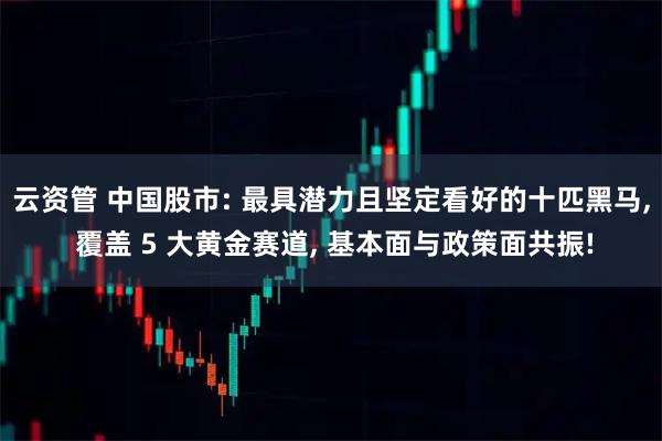 云资管 中国股市: 最具潜力且坚定看好的十匹黑马, 覆盖 5 大黄金赛道, 基本面与政策面共振!